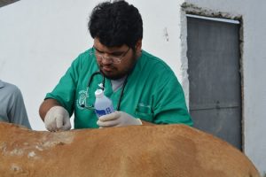 dsc_0477