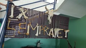 curso-de-medicina-veterinaria-realiza-mais-uma-edicao-do-sempravet-cesmac-22