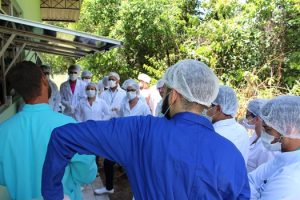 curso-de-medicina-veterinaria-realiza-mais-uma-edicao-do-sempravet-cesmac-22