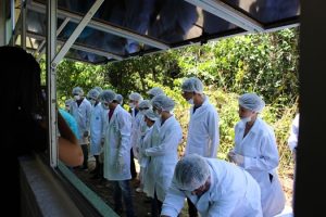 curso-de-medicina-veterinaria-realiza-mais-uma-edicao-do-sempravet-cesmac-22