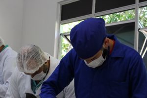 curso-de-medicina-veterinaria-realiza-mais-uma-edicao-do-sempravet-cesmac-22