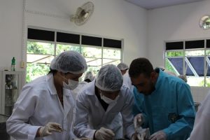 curso-de-medicina-veterinaria-realiza-mais-uma-edicao-do-sempravet-cesmac-22