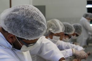 curso-de-medicina-veterinaria-realiza-mais-uma-edicao-do-sempravet-cesmac-22