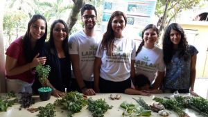 liga-academica-e-destaque-no-curso-de-farmacia-do-cesmac-22
