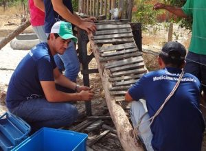 nafri-curso-de-medicina-veterinaria-e-o-povo-kalanko-cesmac-2