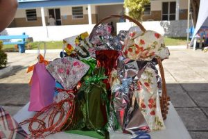gincana-de-fisioterapia-promove-acao-no-lar-francisco-de-assis-7