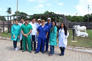 medicina-veterinaria-do-cesmac-presente-na-8a-expogenetica-49
