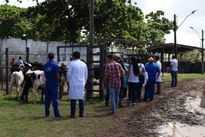 medicina-veterinaria-do-cesmac-presente-na-8a-expogenetica-49
