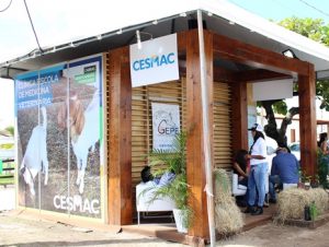 medicina-veterinaria-do-cesmac-presente-na-8a-expogenetica-49