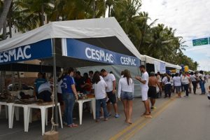 10-06-18_dia-do-meio-ambiente_biologia_eng-civil-5