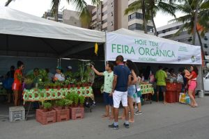 10-06-18_dia-do-meio-ambiente_biologia_eng-civil-5