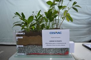 10-06-18_dia-do-meio-ambiente_biologia_eng-civil-5