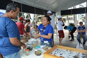 10-06-18_dia-do-meio-ambiente_biologia_eng-civil-5