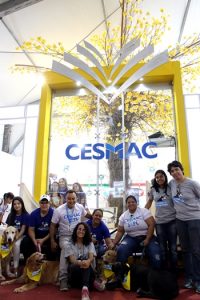 Biomedicina, Engenharia- Civil- e- Educação- Física- agitam-estande- do- CESMAC -sbpc_(41)