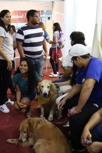 Lançamento-do- Observatório- de- Pesquisa -Institucional -do- CESMAC- na- SBPC-(01)