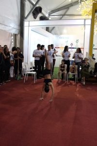 Lançamento-do- Observatório- de- Pesquisa -Institucional -do- CESMAC- na- SBPC-(01)
