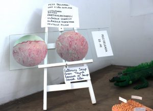 IMG-20180906-WA0016