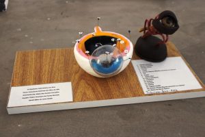 IMG-20180906-WA0016