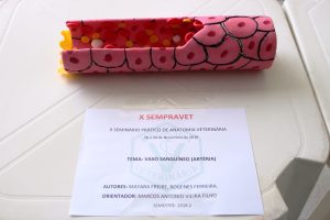 Seminário- Prático- de- Anatomia- Veterinária - SEMPRAVET-Cesmac (75)