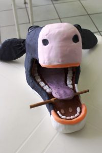 Seminário- Prático- de- Anatomia- Veterinária - SEMPRAVET-Cesmac (75)