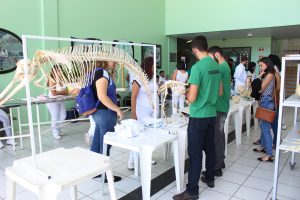 Seminário- Prático- de- Anatomia- Veterinária - SEMPRAVET-Cesmac (75)
