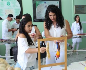 Seminário- Prático- de- Anatomia- Veterinária - SEMPRAVET-Cesmac (75)