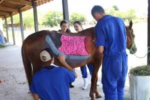 Seminário- Prático- de- Anatomia- Veterinária - SEMPRAVET-Cesmac (75)