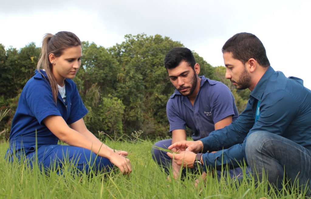 Por que o engenheiro agrônomo é uma das profissões do futuro?