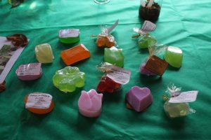 Curso- de- Farmácia- faz- Implantação- de- Horta- Medicinal- e- Condimentar- na- Aldeia- Xucuru-Kariri- em- Palmeira- dos- Índios- (61)