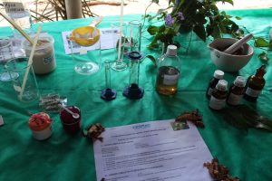 Curso- de- Farmácia- faz- Implantação- de- Horta- Medicinal- e- Condimentar- na- Aldeia- Xucuru-Kariri- em- Palmeira- dos- Índios- (61)