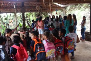 Curso- de- Farmácia- faz- Implantação- de- Horta- Medicinal- e- Condimentar- na- Aldeia- Xucuru-Kariri- em- Palmeira- dos- Índios- (61)