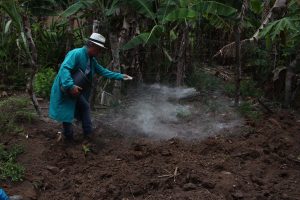 Curso- de- Farmácia- faz- Implantação- de- Horta- Medicinal- e- Condimentar- na- Aldeia- Xucuru-Kariri- em- Palmeira- dos- Índios- (61)