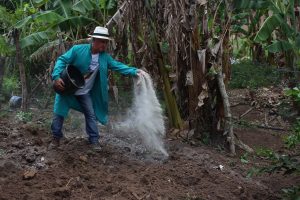 Curso- de- Farmácia- faz- Implantação- de- Horta- Medicinal- e- Condimentar- na- Aldeia- Xucuru-Kariri- em- Palmeira- dos- Índios- (61)
