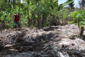 Curso- de- Farmácia- faz- Implantação- de- Horta- Medicinal- e- Condimentar- na- Aldeia- Xucuru-Kariri- em- Palmeira- dos- Índios- (61)