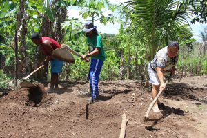 Curso- de- Farmácia- faz- Implantação- de- Horta- Medicinal- e- Condimentar- na- Aldeia- Xucuru-Kariri- em- Palmeira- dos- Índios- (61)