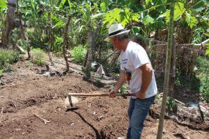 Curso- de- Farmácia- faz- Implantação- de- Horta- Medicinal- e- Condimentar- na- Aldeia- Xucuru-Kariri- em- Palmeira- dos- Índios- (61)