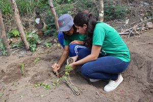 Curso- de- Farmácia- faz- Implantação- de- Horta- Medicinal- e- Condimentar- na- Aldeia- Xucuru-Kariri- em- Palmeira- dos- Índios- (61)