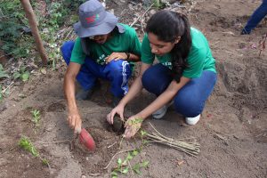 Curso- de- Farmácia- faz- Implantação- de- Horta- Medicinal- e- Condimentar- na- Aldeia- Xucuru-Kariri- em- Palmeira- dos- Índios- (61)