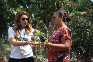 Curso- de- Farmácia- faz- Implantação- de- Horta- Medicinal- e- Condimentar- na- Aldeia- Xucuru-Kariri- em- Palmeira- dos- Índios- (61)