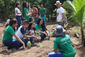 Curso- de- Farmácia- faz- Implantação- de- Horta- Medicinal- e- Condimentar- na- Aldeia- Xucuru-Kariri- em- Palmeira- dos- Índios- (61)