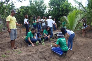 Curso- de- Farmácia- faz- Implantação- de- Horta- Medicinal- e- Condimentar- na- Aldeia- Xucuru-Kariri- em- Palmeira- dos- Índios- (61)