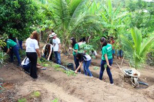 Curso- de- Farmácia- faz- Implantação- de- Horta- Medicinal- e- Condimentar- na- Aldeia- Xucuru-Kariri- em- Palmeira- dos- Índios- (61)