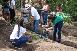 Curso- de- Farmácia- faz- Implantação- de- Horta- Medicinal- e- Condimentar- na- Aldeia- Xucuru-Kariri- em- Palmeira- dos- Índios- (61)