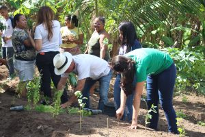 Curso- de- Farmácia- faz- Implantação- de- Horta- Medicinal- e- Condimentar- na- Aldeia- Xucuru-Kariri- em- Palmeira- dos- Índios- (61)