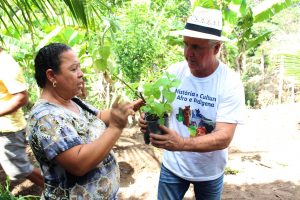 Curso- de- Farmácia- faz- Implantação- de- Horta- Medicinal- e- Condimentar- na- Aldeia- Xucuru-Kariri- em- Palmeira- dos- Índios- (61)
