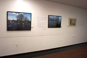 IMG_8797