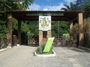 Turma- do- Mestrado -Profissional- Análise- de- Sistemas- Ambientais- acompanha- alunos -de- escola- estadual- em- visita- ao- Parque- Municipal- de- Maceió-Cesmac (4)