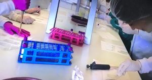 Curso- de- Biomedicina- desenvolve- Projetos- Integradores- realizados- por -professores- e -alunos- nas- ações -extensionistas -(5)