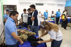 IMG_0861