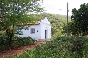 Professores- e- alunos- do- curso- de -Farmácia -do -CESMAC -realizam- ação -extensionista- em- Comunidade- Quilombolas -de -Água Branca- (34)